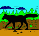 Dibujo Coyote pintado por Nereapaco