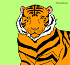 Dibujo Tigre pintado por tigre 