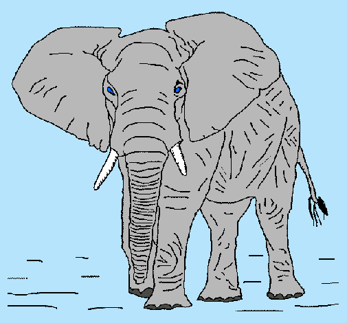 Dibujo Elefante pintado por erika123