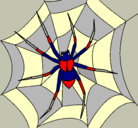 Dibujo Araña pintado por FDSGFS