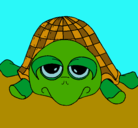 Dibujo Tortuga pintado por isla