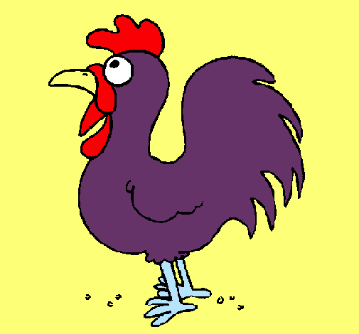 Gallo de granja