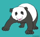 Dibujo Oso panda pintado por DANNA08