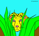 Dibujo Guepardo pintado por Leopardo
