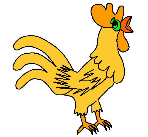 Gallo