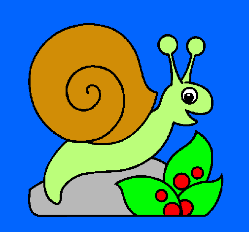 Caracol