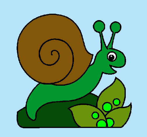 Caracol