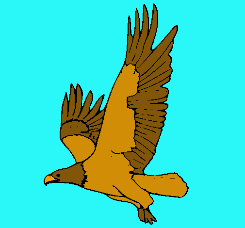 Águila volando