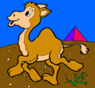 Dibujo Camello pintado por cardona