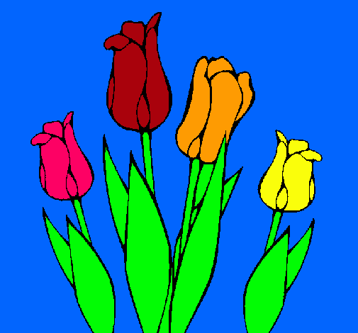 Tulipanes