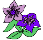 Dibujo Flores pintado por lilas 