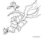 Dibujo Flor de almendro pintado por urra