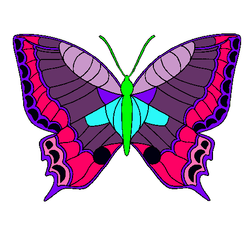 Mariposa