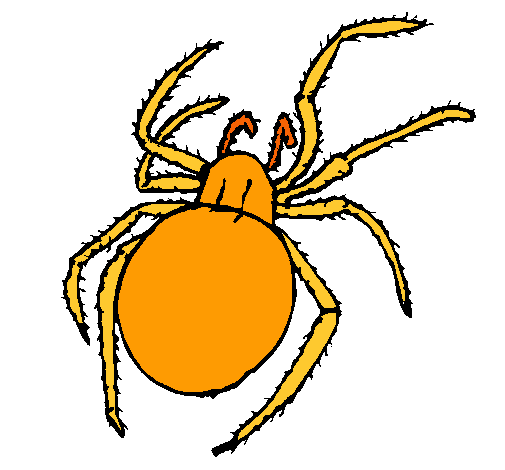 Araña venenosa