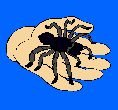 Tarántula