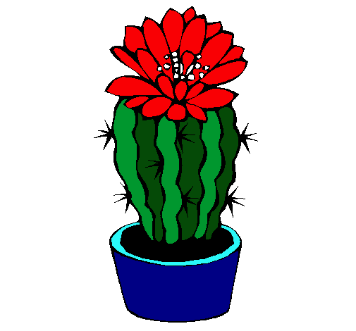 Cactus con flor