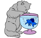 Dibujo Gato mirando al pez pintado por erika123