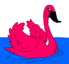 Dibujo Cisne en el agua pintado por eymi