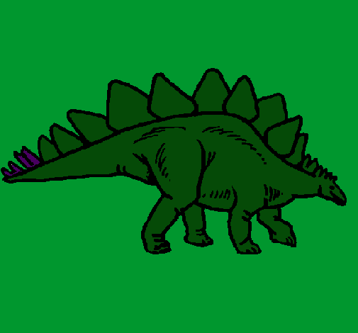 Stegosaurus