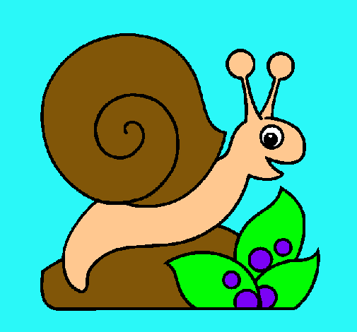 Caracol