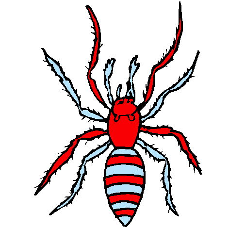 Araña tigre