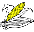 Dibujo Mazorca de maíz pintado por mancio