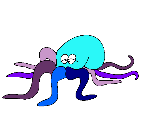 Pulpo