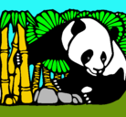Dibujo Oso panda y bambú pintado por ASEECH