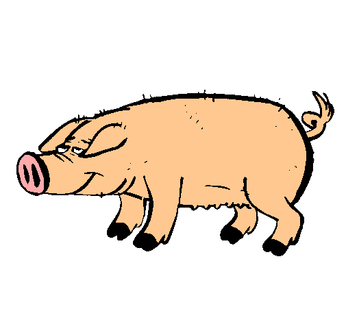 Dibujo Cerdo con pezuñas negras pintado por acvalle