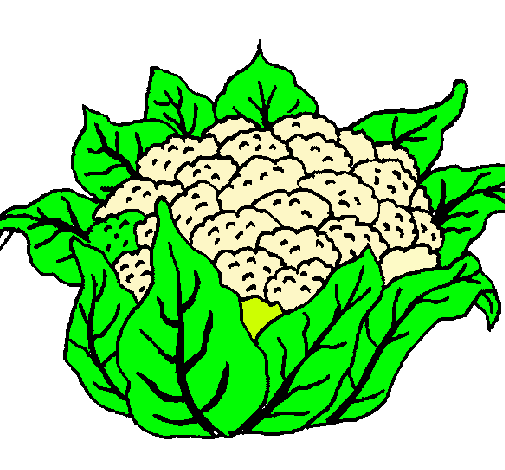 coliflor