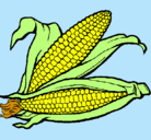 Dibujo Mazorca de maíz pintado por aylu2000