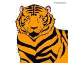 Dibujo Tigre pintado por tigre