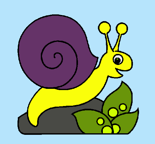 Caracol