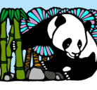 Dibujo Oso panda y bambú pintado por allsodk