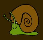 Dibujo Caracol  pintado por veni