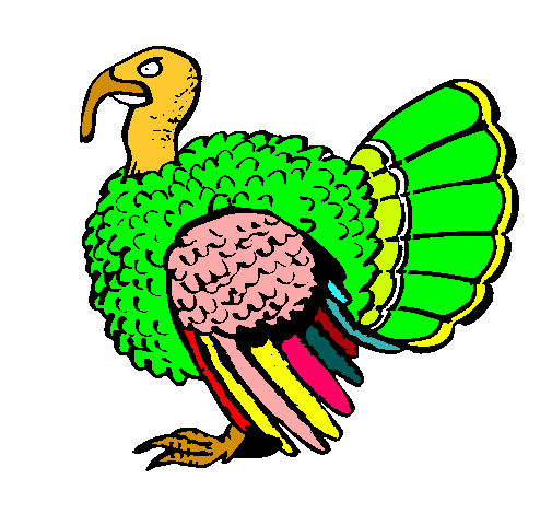 Pavo 