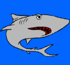 Dibujo Tiburón pintado por zacatac