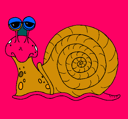 Caracol