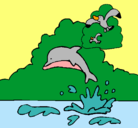 Dibujo Delfín y gaviota pintado por ferni1