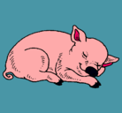 Dibujo Cerdo durmiendo pintado por clotis
