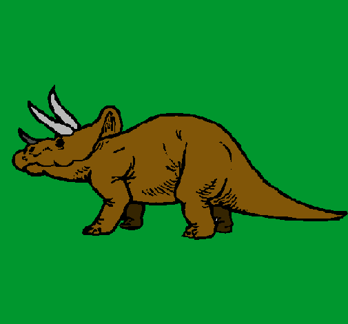 Triceratops