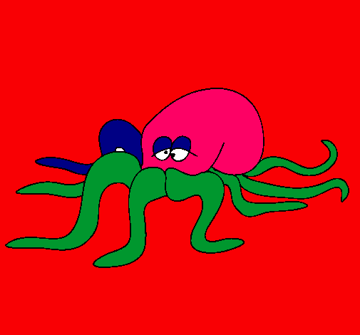 Pulpo