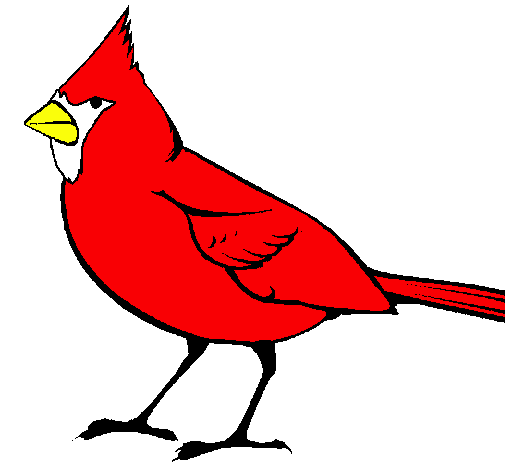 Cardinal