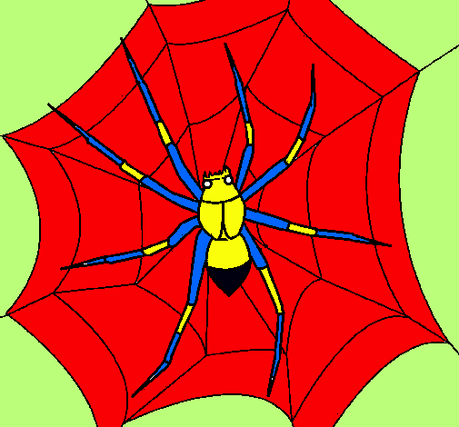 Araña