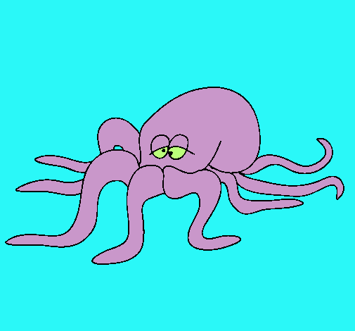 Pulpo