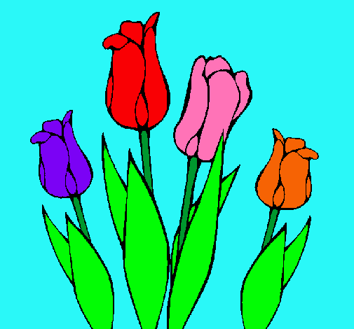 Tulipanes