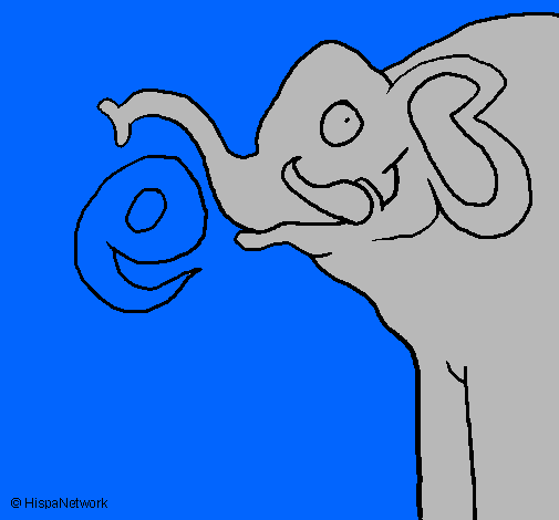 Elefante