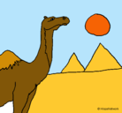 Dibujo Camello pintado por lauritaymartita