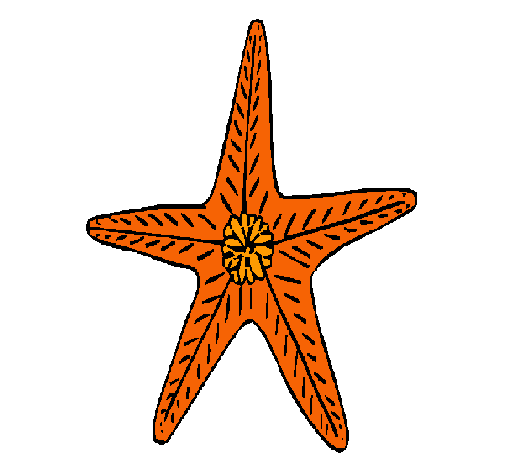 Dibujo de Estrella de mar 1 pintado por en Dibujos.net el día 19-12-22 a  las 16:35:59. Imprime, pinta o colorea tus propios dibujos!