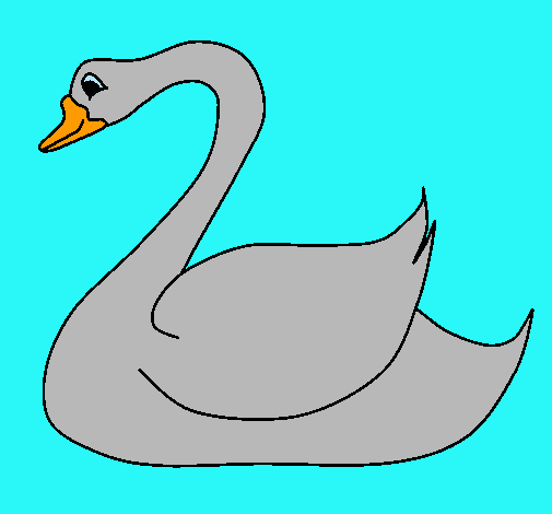 Cisne